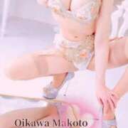 ヒメ日記 2026/03/31 14:00 投稿 及川 真琴 白夜