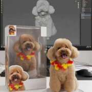 ヒメ日記 2026/04/02 11:45 投稿 及川 真琴 白夜