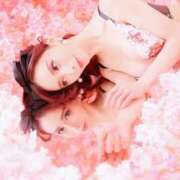 ヒメ日記 2026/04/04 09:45 投稿 及川 真琴 白夜