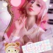 ヒメ日記 2026/04/08 09:45 投稿 及川 真琴 白夜