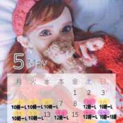 ヒメ日記 2026/04/28 07:30 投稿 及川 真琴 白夜