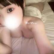 ヒメ日記 2026/02/12 19:38 投稿 ☆らん☆ ◆プラウディア◆AAA級素人娘在籍店