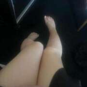 ヒメ日記 2026/02/17 14:48 投稿 ☆まいか☆ ◆プラウディア◆AAA級素人娘在籍店