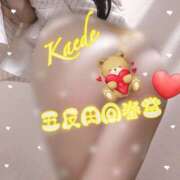 楓-かえで- 実はじっと見 男の潮吹き専門店 五反田回春堂