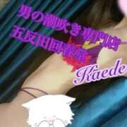 ヒメ日記 2025/12/17 14:46 投稿 楓-かえで- 男の潮吹き専門店 五反田回春堂