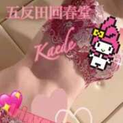 ヒメ日記 2026/01/13 00:06 投稿 楓-かえで- 男の潮吹き専門店 五反田回春堂