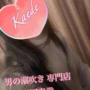 ヒメ日記 2026/01/31 15:16 投稿 楓-かえで- 男の潮吹き専門店 五反田回春堂