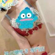 ヒメ日記 2026/03/08 04:46 投稿 楓-かえで- 男の潮吹き専門店 五反田回春堂