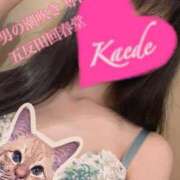 ヒメ日記 2026/03/28 15:16 投稿 楓-かえで- 男の潮吹き専門店 五反田回春堂