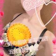 ヒメ日記 2026/04/02 21:16 投稿 楓-かえで- 男の潮吹き専門店 五反田回春堂