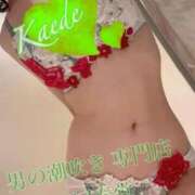 楓-かえで- ぽろっと 男の潮吹き専門店 五反田回春堂