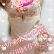 ヒメ日記 2026/05/12 18:26 投稿 楓-かえで- 男の潮吹き専門店 五反田回春堂