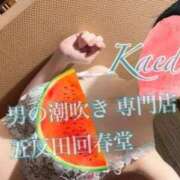 ヒメ日記 2026/07/13 13:56 投稿 楓-かえで- 男の潮吹き専門店 五反田回春堂