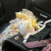 ヒメ日記 2026/02/15 16:07 投稿 ふわり 虹色メロンパイ 横浜店