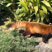 ヒメ日記 2026/02/21 13:18 投稿 ふわり 虹色メロンパイ 横浜店