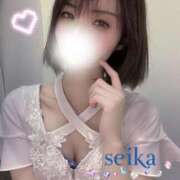 ヒメ日記 2026/03/14 01:21 投稿 星華 Mrs.RankUp（ミセスランクアップ）