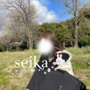 ヒメ日記 2026/03/21 15:01 投稿 星華 Mrs.RankUp（ミセスランクアップ）