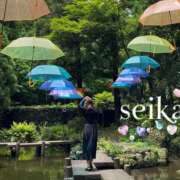 ヒメ日記 2026/03/30 20:31 投稿 星華 Mrs.RankUp（ミセスランクアップ）