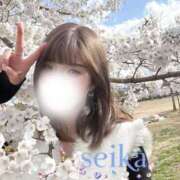 ヒメ日記 2026/04/02 13:01 投稿 星華 Mrs.RankUp（ミセスランクアップ）