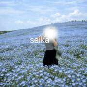 ヒメ日記 2026/04/17 19:21 投稿 星華 Mrs.RankUp（ミセスランクアップ）