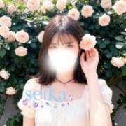 ヒメ日記 2026/06/11 13:01 投稿 星華 Mrs.RankUp（ミセスランクアップ）