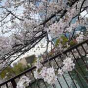 いちご 桜🌸 大牟田デリヘル倶楽部