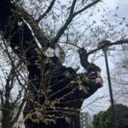 ヒメ日記 2026/03/28 10:52 投稿 彩(さやか) 人妻城 横浜本店