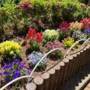 ヒメ日記 2026/03/29 20:29 投稿 彩(さやか) 人妻城 横浜本店