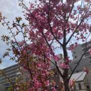 ヒメ日記 2026/04/04 16:47 投稿 彩(さやか) 人妻城 横浜本店