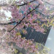 ヒメ日記 2026/04/04 20:52 投稿 まゆ 西川口ぷよステーション