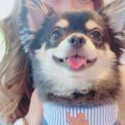 ヒメ日記 2026/03/19 01:47 投稿 はる ごほうびSPA 新宿店