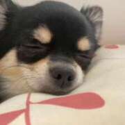 ヒメ日記 2026/04/09 12:17 投稿 はる ごほうびSPA 新宿店