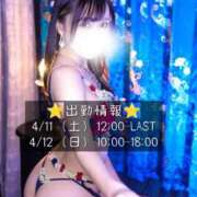 ヒメ日記 2026/04/06 12:32 投稿 命（みこと） 男爵