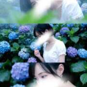 ヒメ日記 2026/06/10 07:31 投稿 命（みこと） 男爵