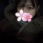 ヒメ日記 2026/03/20 12:45 投稿 まりん PINK PLANET