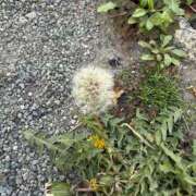 ヒメ日記 2026/04/10 15:35 投稿 まりん PINK PLANET