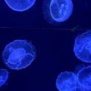 ヒメ日記 2026/04/14 17:06 投稿 まりん PINK PLANET