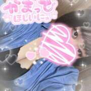 ヒメ日記 2026/03/03 13:15 投稿 にこ ぽっちゃり巨乳専門店ちゃんこ八王子店