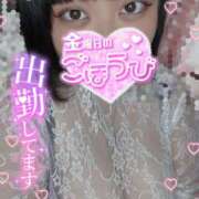 ヒメ日記 2026/03/27 12:05 投稿 にこ ぽっちゃり巨乳専門店ちゃんこ八王子店