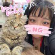 ヒメ日記 2026/04/03 11:18 投稿 にこ ぽっちゃり巨乳専門店ちゃんこ八王子店