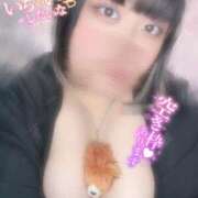 ヒメ日記 2026/04/10 16:35 投稿 にこ ぽっちゃり巨乳専門店ちゃんこ八王子店