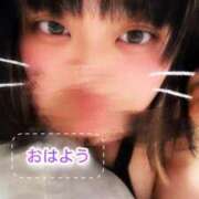 ヒメ日記 2026/04/16 09:53 投稿 にこ ぽっちゃり巨乳専門店ちゃんこ八王子店