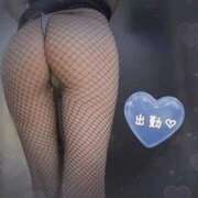 ヒメ日記 2026/04/12 17:02 投稿 かのん Las Vegas(新潟)