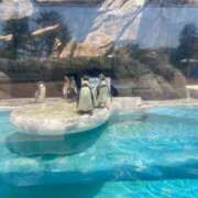 ヒメ日記 2026/02/13 18:28 投稿 ゆきの KIREI（五反田）