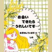 ヒメ日記 2026/04/11 10:03 投稿 篠/Shino ジュリエット
