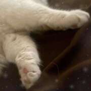 ヒメ日記 2026/02/22 23:37 投稿 川島　のん OLセレクション宇都宮店