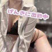 ヒメ日記 2026/04/14 07:03 投稿 川島　のん OLセレクション宇都宮店