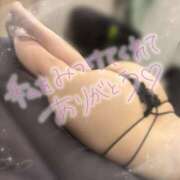 ヒメ日記 2026/04/14 20:19 投稿 川島　のん OLセレクション宇都宮店