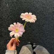 ヒメ日記 2026/02/28 16:36 投稿 地元産/はな PREMIUMー萌ー