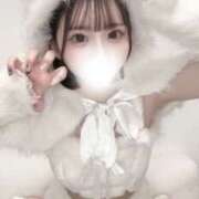 ヒメ日記 2026/04/14 19:06 投稿 みみあ 姫コレクション